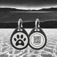 Proveedor Directo Placa de Identificación de Lujo Duradera de Epoxi para Mascota Perro Gato Lista para Usar con Huella de Animal para Collares Correas Arneses Sencillos