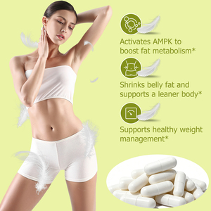 Custom Label Belly Fat Burning Capsules with Vitamin B6 B12 Healthcare Products Burn Belly Fat Support Weight Management Capsule - Product Image 4