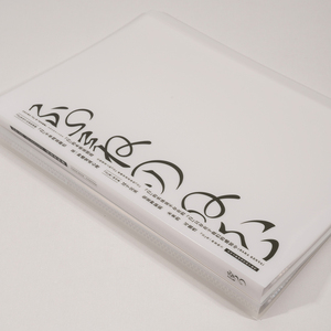 Biểu Tượng Tùy Chỉnh A3 A4 B2 Lưu Trữ Tập Tin Cuốn Sách Hiển Thị Với Nhựa Tay Áo Túi Công Suất Danh Mục Đầu Tư Thư Mục Cho Tác Phẩm Nghệ Thuật - Product Image 5