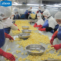 Iqf Bevroren Ananas Dobbelstenen Premium Kwaliteit Versheid Geconserveerd Fruit Voor Gezond Snacken En Koken Bevroren Fruit