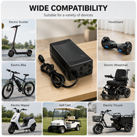 Cargador de Batería para Scooter Eléctrico de 42V 2A, Serie E-bike, Scooter Plegable, Batería de Litio, Personalizable, DC GX16 XLR