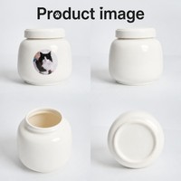 Urna Funeraria de Cerámica Artesanal de Lujo Moderna al por Mayor con Junta de Silicona para Cenizas de Perros y Gatos, Precio de Fábrica Personalizado, Ataúd Conmemorativo