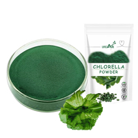 Poudre d'extrait de chlorella en vrac poudre de chlorella de qualité alimentaire vente en gros
