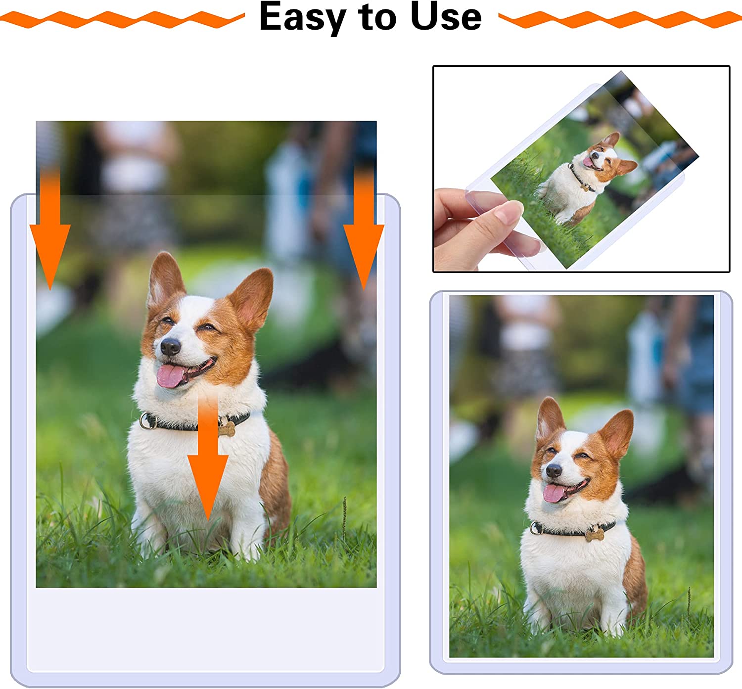 corgi card sleeves Pop-Up Pet Blank inside. Shorty Corgi Birthday Card |