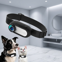 Caméra de collier pour chien d'extérieur 1080P HD CMOS, grand angle 120 degrés, mini caméra d'action sportive rechargeable, étanche IPx6 pour chiens et chats