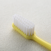 Brosse à dents manuelle professionnelle à poils moyens avec des poils en nylon denses pour les soins dentaires à domicile et l'hygiène buccale
