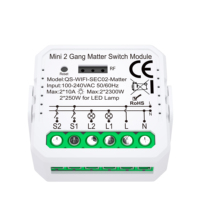 Module de commande à distance intelligent pour la maison, 2 gangs 2 voies 20A, compatible Zigbee/WiFi et Matter, avec contrôle via l'application Smart Life