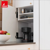 Armoire à épices dissimulée Allandcabinet, design personnalisé en laque blanche, concepts de conception de cuisine, aménagement sur mesure pour toute la maison