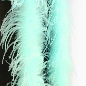 Écharpe sexy pour femmes, bandes de plumes pour la décoration de la taille, accessoires de couture, décorations de Noël, carnaval, flirt - Product Image 5