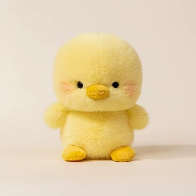 13 poussins
