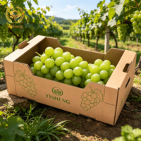 Herbruikbare milieuvriendelijke vouwbare golfkartonnen doos met luchtgaten, 10kg druiven, verse fruit export, zeevracht, levering, embossing