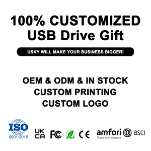 OEM 8GB/16GB/32GB USB 2.0 ổ đĩa <span class=keywords><strong>flash</strong></span> đa chức năng xách tay nhựa U đĩa âm thanh ghi âm thiết bị cuộc họp ghi âm mới - Product Image 5