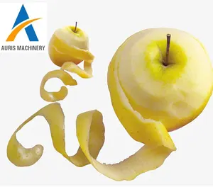 Industrial Pear Apple Core Removal Peeling Machine Prickly Pear Fruit Peeler Coring Removal Processing Machine