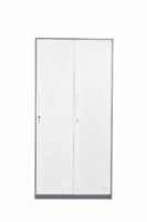 Casier de rangement en acier à 2 portes, durable et classique, pour vêtements de travail, idéal pour le lieu de travail, l'atelier, la salle de sport, l'appartement
