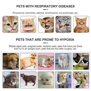 Olive – concentrateur d'oxygène de haute pureté 7l 3l 5l vétérinaire 10 litres, générateur d'oxygène pour chambre à oxygène hyperbaroque pour animaux de compagnie - Product Image 4