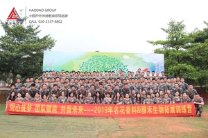 OEM Food Grade FSSC 22000 Certificated Grape Flavour for Drinks Beverage Ice Cream <strong>Concentrated</strong> Liquid <strong>Shisha</strong> Wholesale Prices - Product Image 4