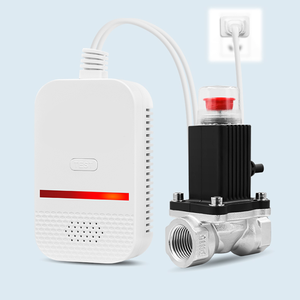 Bom Preço Wall Mounted Combinação <span class=keywords><strong>Detector</strong></span> De Gás com Válvula Solenóide Gás Leak Alarm Analyzer - Product Image 5