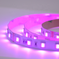 Bande LED RGB+CCT 5 couleurs en 1 puce SMD 5050 60 LED/m DC 12V 24V RGB CW WW RGBW RGBWW Ruban lumineux flexible