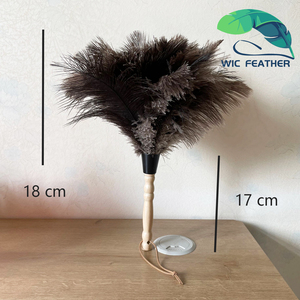 Fornitori della fabbrica di Alta Qualità Della Piuma Dello Struzzo Spolverino - Product Image 2