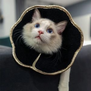 Collier <span class=keywords><strong>Elizabeth</strong></span> à dégagement rapide pour la récupération du chat Fibre de polyester solide EVA Plume de renfort de cou souple pour les soins postopératoires pour animaux de compagnie - Product Image 3