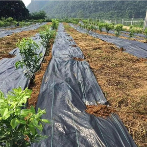 Garden And Agriculture Nursery Woven Fabric Ground Cover <strong>Mesh</strong> Weed Barrier For Orchards