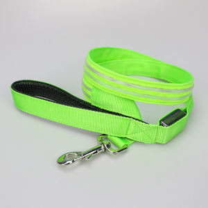 Recargable iluminado brillo led de luz Correa paseo de noche - Product Image 6