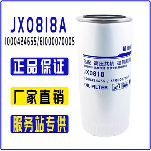 Élément de filtre à huile Jx0818a 61000070005 pour camion Howo Delong 1000424655a - Product Image 5