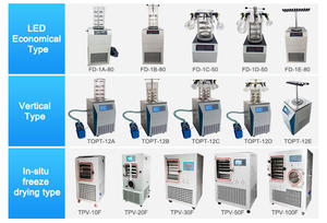 Liofilizador industrial para procesamiento de alimentos a gran escala Nuevo equipo controlado por PLC - Product Image 5