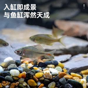 หินจัดสวนสำหรับตู้ปลา ทรายสีน้ำตาล สำหรับฐานปลูกพืชในตู้ปลา ของตกแต่งที่เป็นมิตรกับสิ่งแวดล้อม - Product Image 4