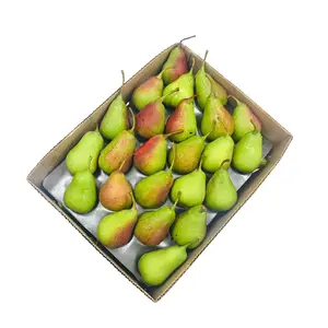 スーパーゴング梨梨工場供給セリーナ梨新シーズン新鮮で甘いパキスタンキャベンディッシュバナナ有機栽培