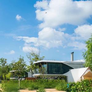 Cápsula Espacial de Diseño Biófilo con Sistema Solar Personalizado, Directo de Fábrica, para Sala de Estar, Escuela, Cocina, Parque - Product Image 6