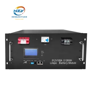 Huishoudelijke 19 Inch Rack Mount 51.2 100 Lifepo4 Batterij Batterij Zonne-Energie Opslagsysteem Lithium-Ion Batterij