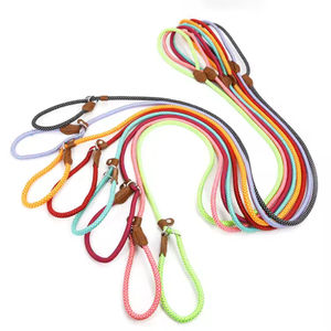 Laisse pour chien en nylon à ressort, nouvelle collection, en stock, fabriquée en Chine - Product Image 1
