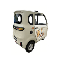 Tricycle électrique à 3 roues 1000W, véhicule 4 places pour adultes, mini véhicule électrique de livraison avec carrosserie fermée pour le transport de marchandises