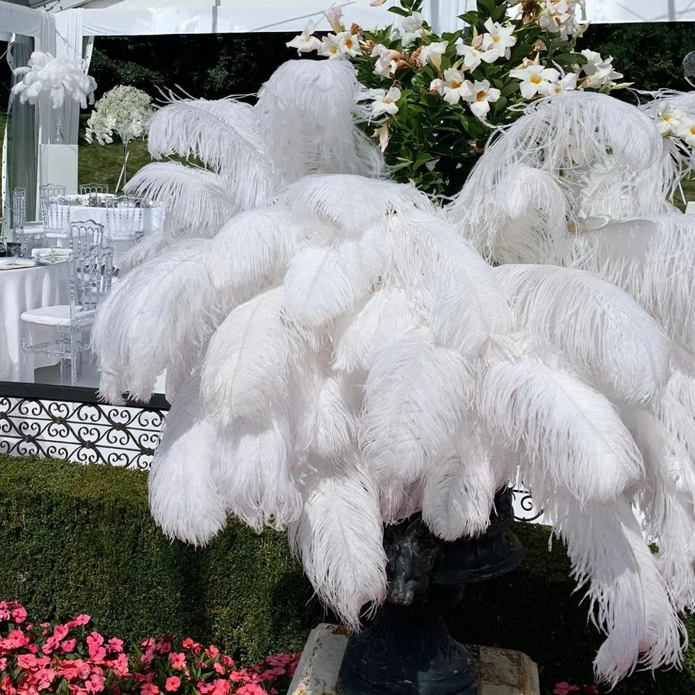 Plume décorative 20-22 "/50-55 cm Plumes d'autruche naturelles moelleuses en gros pour centres de table de mariage Décoration de carnaval