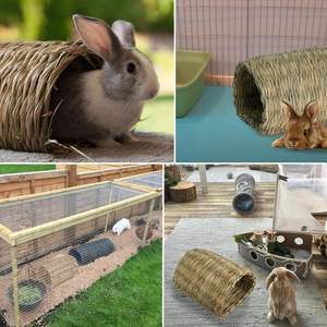 คลิปหนีบลวดกรงสัตว์เลี้ยง สำหรับขายส่ง อุปกรณ์เลี้ยงนกคุณภาพสูงใหม่ สำหรับกรงเพาะพันธุ์นกแก้ว กรงนก กรงสัตว์เลี้ยง - Product Image 6