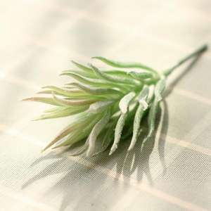 Venta al por mayor Mini cactus surtido interior y exterior decorativo <span class=keywords><strong>suculentas</strong></span> arreglo plantas artificiales y vegetación a la venta - Product Image 5