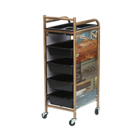 Équipement de beauté de luxe Chariot de salon pour équipement et produits de coiffure