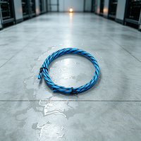 Système d'alarme sonore de détection de fuite d'eau sous le plancher SPEED SPD-WL-06 à 2 fils, diamètre 3,8 mm, capteur TCP/IP, portée 500 m