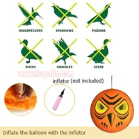Ballon gonflable répulsif pour oiseaux de haute qualité, écologique, avec yeux, pour le contrôle des animaux, utilisation en extérieur en automne