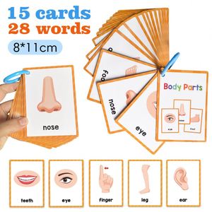 Materiales Didácticos para Principiantes en Lectura, Vocabulario para Autismo, Palabras de Alta Frecuencia, Partes del Cuerpo, Tarjetas de Aprendizaje - Product Image 2