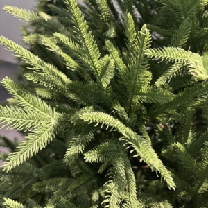 Sapin de Noël artificiel d'extérieur de haute qualité en PE et PVC de 5FT/6FT/7FT pour la décoration de la maison - Product Image 2