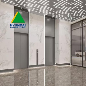 Ascensor Hyundai de 2 Pisos para Viviendas, Mini Elevador Residencial Interior Pequeño con Cabina, 200kg 350kg - Product Image 1