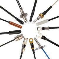 Capteur de température PT100, thermocouple, thermistance NTC, DS18B20, transmetteur de température industriel personnalisé RTD, OEM ODM