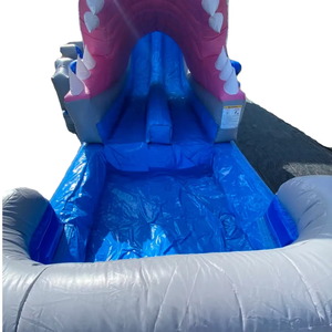 Hot Bán Trẻ Em Của Sân Chơi Cao Ngoài Trời Đôi Trượt Inflatable Cá Mập Trượt Cho Thuê Trong Người Lớn Và Trẻ Em Của Công Viên - Product Image 2