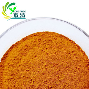 Extrait naturel de racine de <span class=keywords><strong>curcuma</strong></span> 95% curcuminoïdes, <span class=keywords><strong>poudre</strong></span> de qualité alimentaire selon les normes GB/USP/EP - Product Image 3
