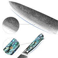 Professionele hakmes, ontbeenmes, snijmes, Santoku koksmes, keukenmessenset, keukenmessen met hars handvat, VG10 Damascus mes