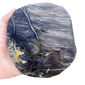 Bois brut naturel poli Microsecti Fossil Crystal Slice Coaster Spécimen minéral Woodstone Fossile