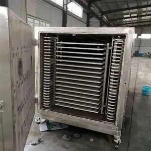 Freeze Dried Food Plant Industrial Fruit And Vegetable Freeze Dry Machine For Sale Lyophilizer LG50 Freeze Dryer
