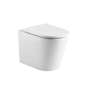 ANBI Modern Water Closet Rimless Wash Down Floor Mounted Toilet With Sanitary Equipment